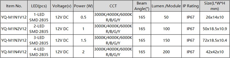 2Leds Batwing  LED Modules
